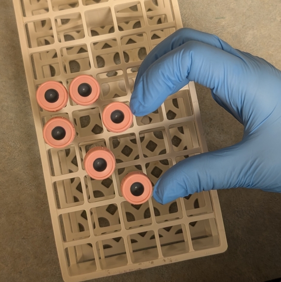 Hey! โบ๏ธ - Picture 8 of 9